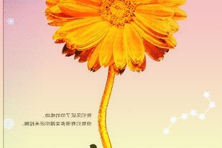 银行理财公司密集调研关注板块轮动机会